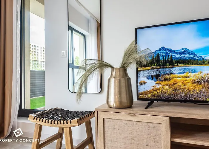 Apartament Plaza 316 *